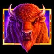 Symbol bizona v Bison 50