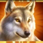 Symbol vlka v Bison 50